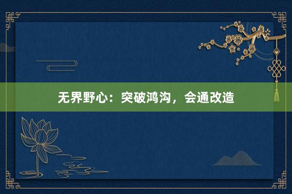 无界野心：突破鸿沟，会通改造