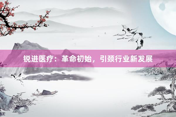 锐进医疗：革命初始，引颈行业新发展