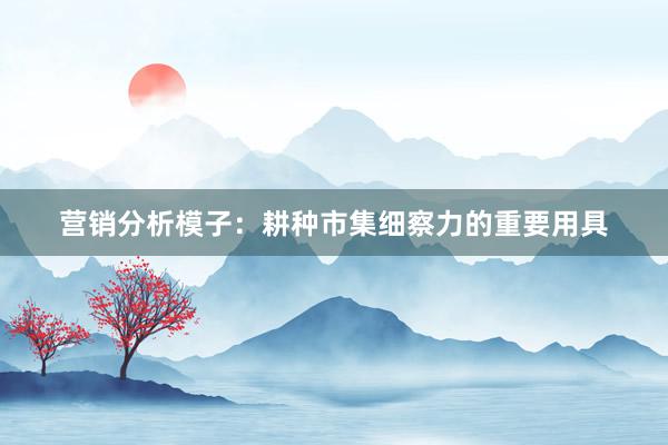 营销分析模子：耕种市集细察力的重要用具
